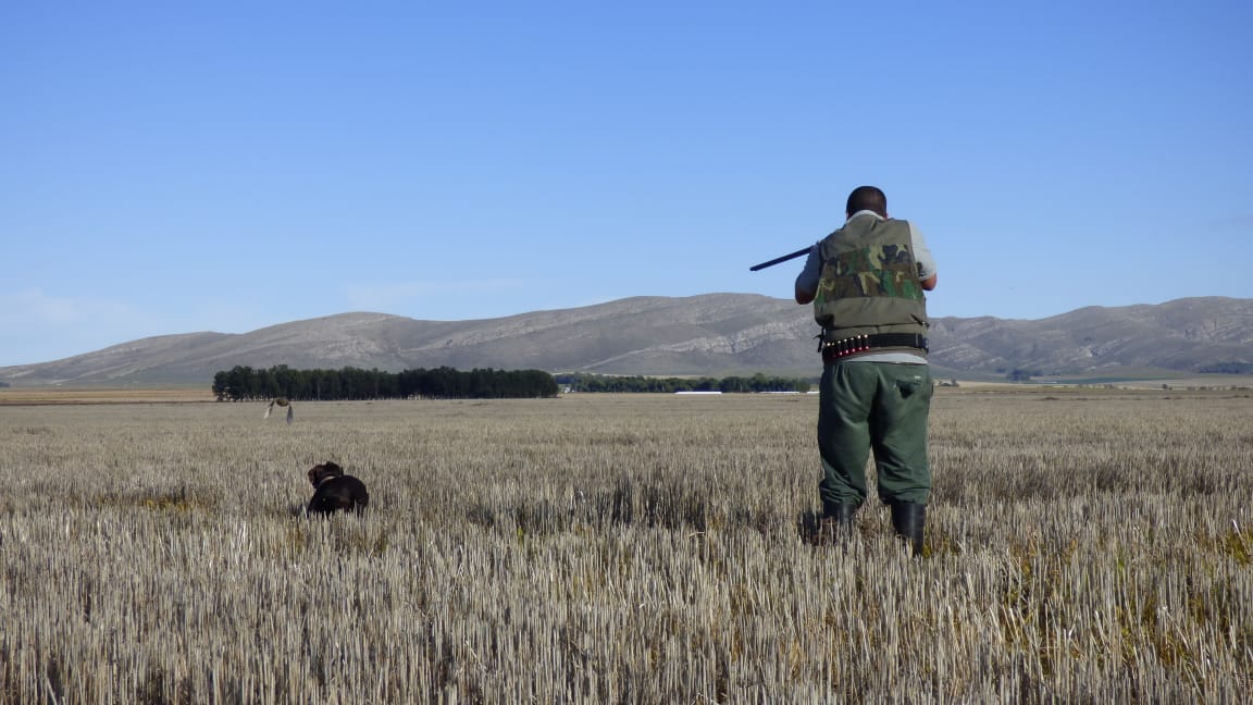 SMALL GAME HUNTING